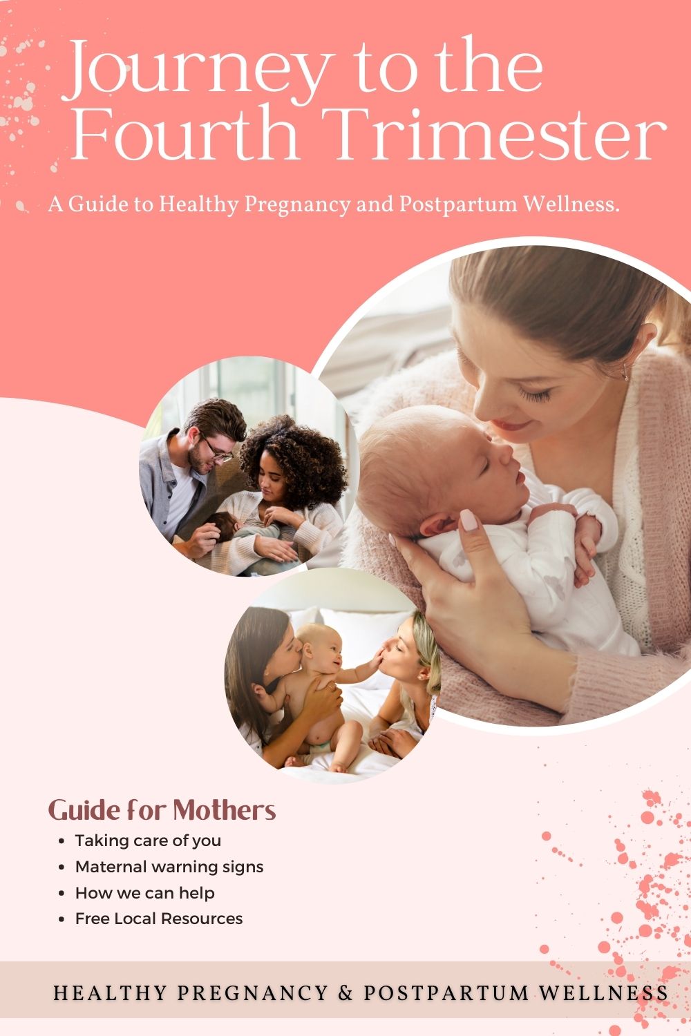 Journey to the Fourth Trimester book 1